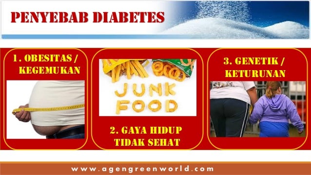 Obatdiabetesherbal Obat Diabetes Herbal Obatdiabetesherbal Obat Diabetes Herbal