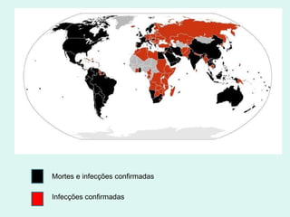 Mortes e infecções confirmadas Infecções confirmadas 