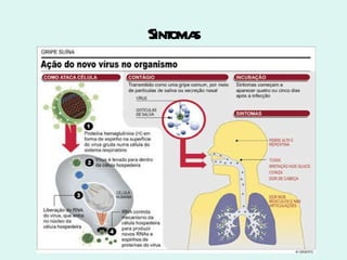Sintomas 