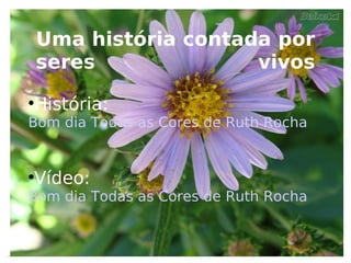 Intolerância a Flor da Pele