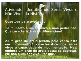 Enquanto a cor da pele for mais importante que o brilho dos olhos, haverá guerra. Bob Marley