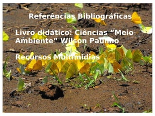 A união faz a força!