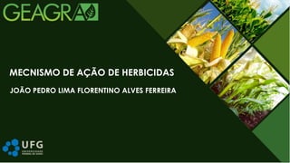 JOÃO PEDRO LIMA FLORENTINO ALVES FERREIRA
MECNISMO DE AÇÃO DE HERBICIDAS
 