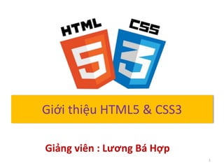 Giới thiệu HTML5 & CSS3
1
Giảng viên : Lương Bá Hợp
 