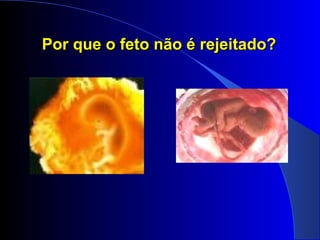 Por que o feto não é rejeitado?Por que o feto não é rejeitado?
 