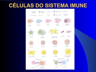 CÉLULAS DO SISTEMA IMUNECÉLULAS DO SISTEMA IMUNE
 