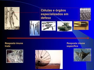 Prof. Aguinaldo R. Pinto
Células e órgãos
especializados em
defesa
Resposta imune
Inata
Resposta imune
específica
 
