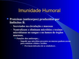 Imunidade HumoralImunidade Humoral
 Proteínas (anticorpos) produzidas por
linfócitos B.
– Secretados na circulação e mucosas
– Neutralizam e eliminam micróbios e toxinas
microbianas no sangue e no lumen de órgãos
mucosos.
 Funções dos anticorpo...
– Impedir que micróbios presentes na mucosa ganhem acesso
para colonizar células e tecidos.
• Previnem infecções de se estabelecer.
 