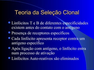 Teoria da Seleção ClonalTeoria da Seleção Clonal
Linfócitos T e B de diferentes especificidades
existem antes do contato com o antígeno
Presença de receptores específicos
Cada linfócito apresenta receptor contra um
antígeno específico
Após ligação com antígeno, o linfócito entra
num processo de ativação
Linfócitos Auto-reativos são eliminados
 