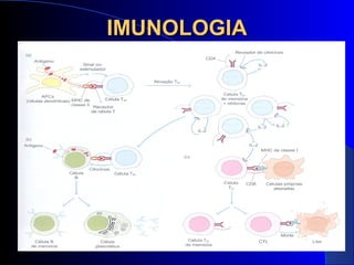 IMUNOLOGIAIMUNOLOGIA
 