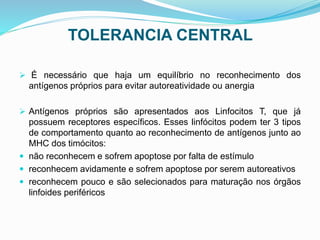 TOLERANCIA CENTRAL
 É necessário que haja um equilíbrio no reconhecimento dos
antígenos próprios para evitar autoreatividade ou anergia
 Antígenos próprios são apresentados aos Linfocitos T, que já
possuem receptores específicos. Esses linfócitos podem ter 3 tipos
de comportamento quanto ao reconhecimento de antígenos junto ao
MHC dos timócitos:
 não reconhecem e sofrem apoptose por falta de estímulo
 reconhecem avidamente e sofrem apoptose por serem autoreativos
 reconhecem pouco e são selecionados para maturação nos órgãos
linfoides periféricos
 