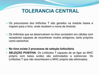TOLERANCIA CENTRAL
 Os precursores dos linfócitos T são gerados na medula óssea e
migram para o timo, onde recebem o nome de timócito
 Os linfócitos que se desenvolvem no timo consistem em células com
receptores capazes de reconhecer muitos antígenos, tanto próprios
como estranhos
 No timo existe 2 processos de seleção linfocitária
 SELEÇÃO POSITIVA: Os Linfócitos T capazes de se ligar ao MHC
próprio com baixa avidez são estimulados a sobreviver. Os
Linfócitos T que não reconhecem o MHC próprio são eliminados.
 
