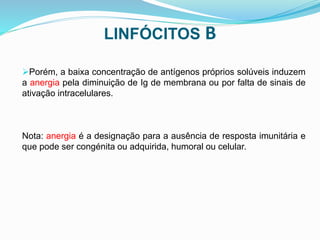 LINFÓCITOS B
Porém, a baixa concentração de antígenos próprios solúveis induzem
a anergia pela diminuição de Ig de membrana ou por falta de sinais de
ativação intracelulares.
Nota: anergia é a designação para a ausência de resposta imunitária e
que pode ser congénita ou adquirida, humoral ou celular.
 