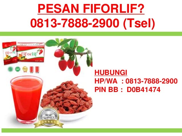 0813-7888-2900 (Tsel), Distributor Fiforlif di Medan, Jual 