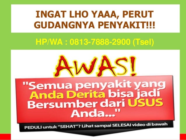 0813-7888-2900 (Tsel), Distributor Fiforlif di Medan, Jual 