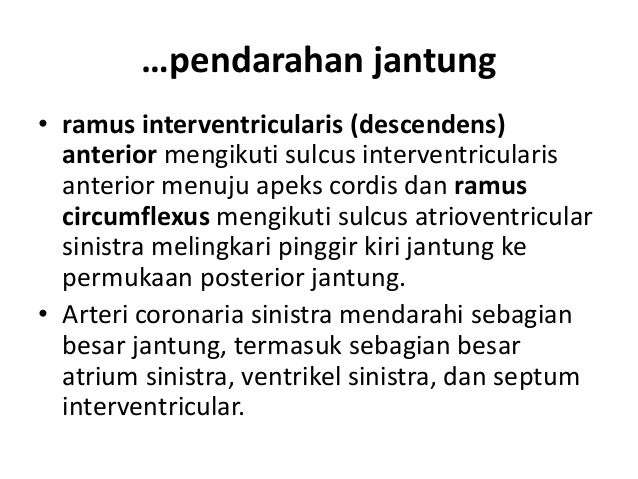 Slide Jantung