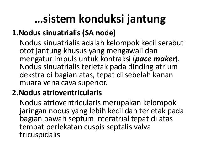 Slide Jantung