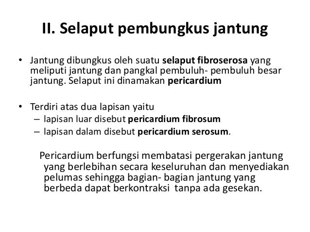Slide Jantung
