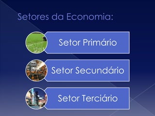 Setor Primário
Setor Secundário
Setor Terciário
 