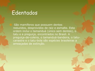 Edentados
 São mamíferos que possuem dentes
reduzidos, desprovidos de raiz e esmalte. Esta
ordem inclui o tamanduá (único sem dentes), o
tatu e a preguiça, encontrados no Brasil. A
preguiça-de-coleira, o tamanduá-bandeira, o tatu-
canastra e o tatu-bola são espécies brasileiras a
ameaçadas de extinção.
 
