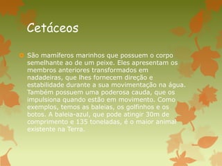 Cetáceos
 São mamíferos marinhos que possuem o corpo
semelhante ao de um peixe. Eles apresentam os
membros anteriores transformados em
nadadeiras, que lhes fornecem direção e
estabilidade durante a sua movimentação na água.
Também possuem uma poderosa cauda, que os
impulsiona quando estão em movimento. Como
exemplos, temos as baleias, os golfinhos e os
botos. A baleia-azul, que pode atingir 30m de
comprimento e 135 toneladas, é o maior animal
existente na Terra.
 