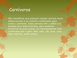Carnívoros
 São mamíferos que possuem dentes caninos muito
desenvolvidos e os molares modificados para
cortar o alimento. Estes animais têm o olfato e a
audição bem desenvolvidos, para poderem
encontrar as suas presas. Os representantes mais
conhecidos são o gato, leão, lobo, cão, foca, urso,
leão-marinho, entre outros.
 