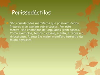 Perissodáctilos
 São considerados mamíferos que possuem dedos
ímpares e se apóiam sobre cascos. Por este
motivo, são chamados de ungulados (com casco).
Como exemplos, temos o cavalo, a anta, a zebra e o
rinoceronte. A anta é o maior mamífero terrestre da
fauna brasileira.
 