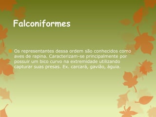 Falconiformes
 Os representantes dessa ordem são conhecidos como
aves de rapina. Caracterizam-se principalmente por
possuir um bico curvo na extremidade utilizando
capturar suas presas. Ex. carcará, gavião, águia.
 