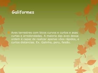 Galiformes
 Aves terrestres com bicos curvos e curtos e asas
curtas e arredondadas. A maioria das aves dessa
ordem é capaz de realizar apenas vôos rápidos, e
curtos distancias. Ex. Galinha, peru, faisão.
 