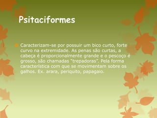 Psitaciformes
 Caracterizam-se por possuir um bico curto, forte
curvo na extremidade. As penas são curtas, a
cabeça é proporcionalmente grande e o pescoço é
grosso, são chamadas “trepadoras”. Pela forma
característica com que se movimentam sobre os
galhos. Ex. arara, periquito, papagaio.
 