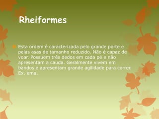 Rheiformes
 Esta ordem é caracterizada pelo grande porte e
pelas asas de tamanho reduzido. Não é capaz de
voar. Possuem três dedos em cada pé e não
apresentam a cauda. Geralmente vivem em
bandos e apresentam grande agilidade para correr.
Ex. ema.
 