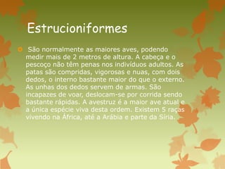 Estrucioniformes
 São normalmente as maiores aves, podendo
medir mais de 2 metros de altura. A cabeça e o
pescoço não têm penas nos indivíduos adultos. As
patas são compridas, vigorosas e nuas, com dois
dedos, o interno bastante maior do que o externo.
As unhas dos dedos servem de armas. São
incapazes de voar, deslocam-se por corrida sendo
bastante rápidas. A avestruz é a maior ave atual e
a única espécie viva desta ordem. Existem 5 raças
vivendo na África, até a Arábia e parte da Síria.
 