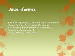 Anseriformes
 São aves aquáticas e semi-aquáticas. As narinas
são perfuradas. Seus dedos são unidos
parcialmente por membranas facilitando o
deslocamento na água. Ex.:
cisne, marreco, pato, ganso.
 