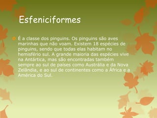 Esfeniciformes
 É a classe dos pinguins. Os pinguins são aves
marinhas que não voam. Existem 18 espécies de
pinguins, sendo que todas elas habitam no
hemisfério sul. A grande maioria das espécies vive
na Antártica, mas são encontradas também
sempre ao sul de países como Austrália e da Nova
Zelândia, e ao sul de continentes como a África e a
América do Sul.
 