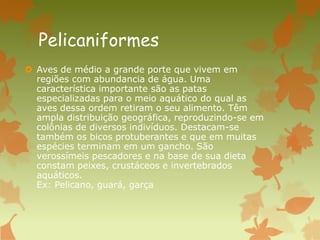 Pelicaniformes
 Aves de médio a grande porte que vivem em
regiões com abundancia de água. Uma
característica importante são as patas
especializadas para o meio aquático do qual as
aves dessa ordem retiram o seu alimento. Têm
ampla distribuição geográfica, reproduzindo-se em
colônias de diversos indivíduos. Destacam-se
também os bicos protuberantes e que em muitas
espécies terminam em um gancho. São
verossímeis pescadores e na base de sua dieta
constam peixes, crustáceos e invertebrados
aquáticos.
Ex: Pelicano, guará, garça
 