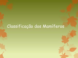 Classificação dos Mamíferos
 