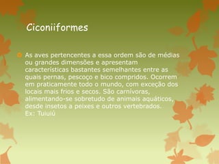 Ciconiiformes
 As aves pertencentes a essa ordem são de médias
ou grandes dimensões e apresentam
características bastantes semelhantes entre as
quais pernas, pescoço e bico compridos. Ocorrem
em praticamente todo o mundo, com exceção dos
locais mais frios e secos. São carnívoras,
alimentando-se sobretudo de animais aquáticos,
desde insetos a peixes e outros vertebrados.
Ex: Tuiuiú
 