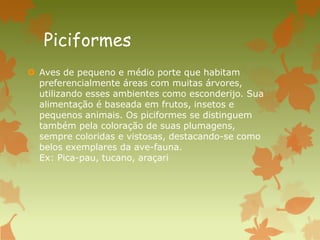 Piciformes
 Aves de pequeno e médio porte que habitam
preferencialmente áreas com muitas árvores,
utilizando esses ambientes como esconderijo. Sua
alimentação é baseada em frutos, insetos e
pequenos animais. Os piciformes se distinguem
também pela coloração de suas plumagens,
sempre coloridas e vistosas, destacando-se como
belos exemplares da ave-fauna.
Ex: Pica-pau, tucano, araçari
 