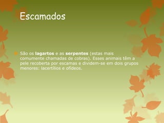 Escamados
 São os lagartos e as serpentes (estas mais
comumente chamadas de cobras). Esses animais têm a
pele recoberta por escamas e dividem-se em dois grupos
menores: lacertílios e ofídeos.
 