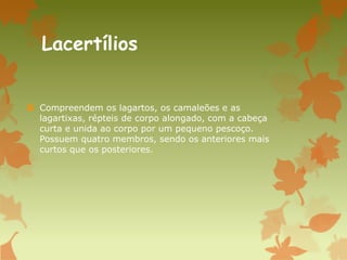 Lacertílios
 Compreendem os lagartos, os camaleões e as
lagartixas, répteis de corpo alongado, com a cabeça
curta e unida ao corpo por um pequeno pescoço.
Possuem quatro membros, sendo os anteriores mais
curtos que os posteriores.
 
