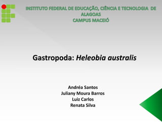 Gastropoda: Heleobia australis 
Andréa Santos 
Juliany Moura Barros 
Luiz Carlos 
Renata Silva 
 