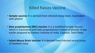 • Semple vaccine: It is derived from infected sheep brain, inactivated
with phenol
• Beta propiolactone (BPL) vaccine: It is a modified Semple vaccine
which is inactivated with beta propiolactone instead of phenol. It was
earlier prepared by Pasteur Institute of India, Coonoor, Tamil Nadu
• Infant Mouse Brain Vaccine: It is derived from infected neural tissue
of newborn mice.
Killed Rabies Vaccine
 