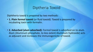 Diptheria Toxoid
Diphtheria toxoid is prepared by two methods:
• 1. Plain formol toxoid (or fluid toxoid): Toxoid is prepared by
incubating toxin with formalin.
• 2. Adsorbed (alum adsorbed): Formol toxoid is adsorbed on to alum.
Alum (Aluminum phosphate, to less extent Aluminum hydroxide) acts
as adjuvant and increases the immunogenicity of toxoid.
 