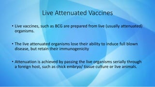 Live Attenuated Vaccines
• Live vaccines, such as BCG are prepared from live (usually attenuated)
organisms.
• The live attenuated organisms lose their ability to induce full blown
disease, but retain their immunogenicity
• Attenuation is achieved by passing the live organisms serially through
a foreign host, such as chick embryo/ tissue culture or live animals.
 