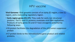 HPV vaccine
Viral Genome: Viral genome consists of an early (E) region, a late (L)
region, and a noncoding regulatory region.
• Early region genes (E1-E7): They code for early non structural
proteins. The E1 and E2 proteins modulate viral DNA replication.
Products of early genes E6 and E7 have oncogenic potential by
following ways:
E6 protein facilitates the degradation of the p53 tumor-suppressor
protein
E7 protein binds to the retinoblastoma gene product and related
proteins.
 