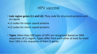 HPV vaccine
• Late region genes (L1 and L2): They code for structural proteins such
as capsid.
L1-codes for major capsid proteins
L2-codes for minor capsid proteins.
• Types: More than 100 types of HPV are recognized based on DNA
sequences of L1 region. Types differ from each other at least by more
than 10% in the sequence of their L1 genes.
 