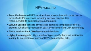 • Recently developed HPV vaccines have shown dramatic reduction in
rates of all HPV infections including cervical cancers. It is
recommended to adolescent young females.
• Subunit vaccine consists of virus-like particles composed of HPV L1
proteins which are produced in yeast by recombinant DNA technology
• These vaccines Lack DNA hence non infectious
• Highly immunogenic : High levels of type specific humoral antibodies
leading to prevention of entry of HPV into epithelial cells.
HPV vaccine
 