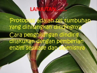 LANJUTAN.......
Protoplas adalah sel tumbuhan
yang dihilangkan dindingnya
Cara penghilangan dinding
dilakukan dengan pemberian
enzim selulase dan sejenisnya
 