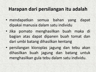 Harapan dari persilangan itu adalah
• mendapatkan semua bahan yang dapat
dipakai manusia dalam satu individu
• Jika pomato menghasilkan buah maka di
bagian atas dapat dipanen buah tomat dan
dari umbi batang dihasilkan kentang
• persilangan kloroplas jagung dan tebu akan
dihasilkan buah jagung dan batang untuk
menghasilkan gula tebu dalam satu individu.
 