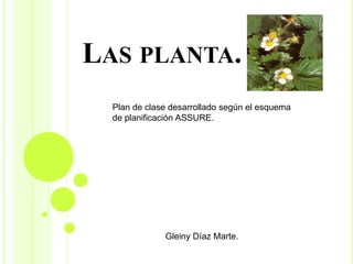 LAS PLANTA. 
Plan de clase desarrollado según el esquema 
de planificación ASSURE. 
Gleiny Díaz Marte. 
 